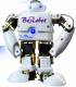 BeRobot 機器人